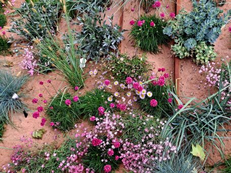 Ungewöhnliche Bepflanzung