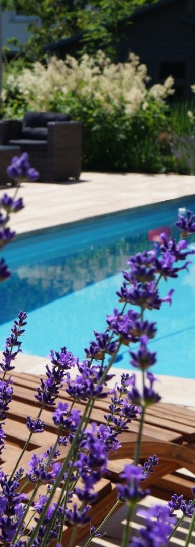 Gartenszene mit Pool